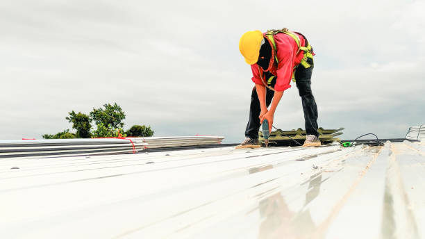 Best Rubber Roofing (EPDM, TPO)  in Vega, TX